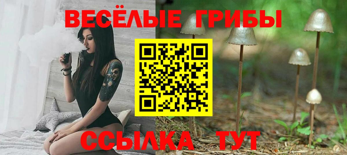 Галлюциногенные грибы MAGIC MUSHROOMS Орск